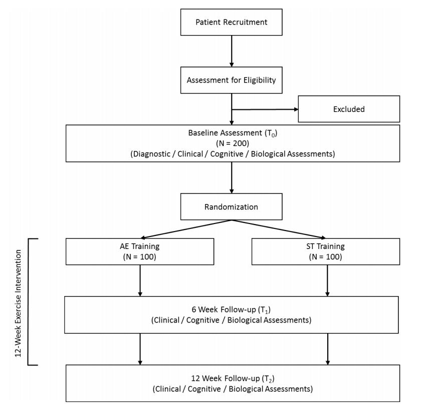 Improving Cognition via Exercise (ICE): Study Protocol for a Multi-Site ...