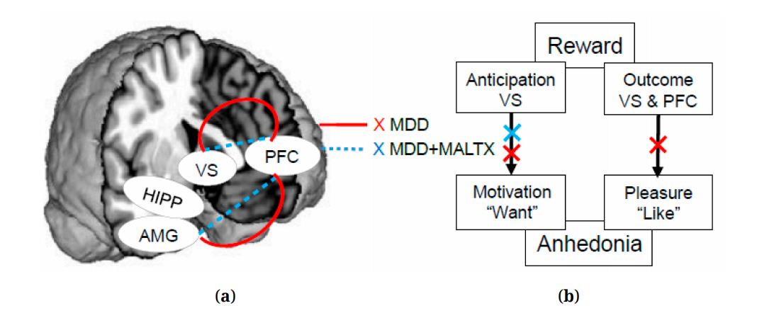 Grant Report on the Effects of Childhood Maltreatment on Neurocircuitry